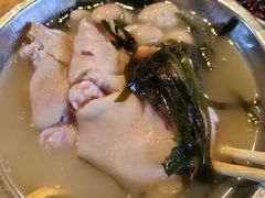 -胖娃滋补蹄花