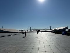-星海湾跨海大桥