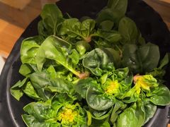 -五星桥原切肥牛火锅·30年专注好牛肉(湖塘店)