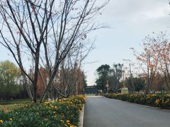 -长田漾湿地公园