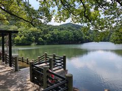 -白马涧龙池景区