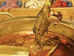 -铭记蛙小仙·活蛙畅享(CBD万达广场店)