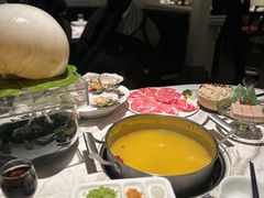 -汤城·料青山