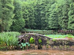 -深圳仙湖植物园