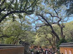 -普陀山风景名胜区-法雨禅寺