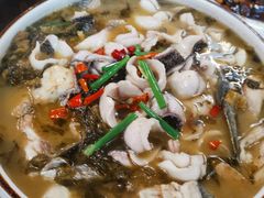 酸菜鱼-水根饭店