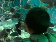 -福州罗源湾海洋世界旅游区