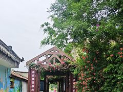 -郫都区农科村景区