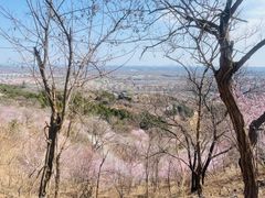 -北京西山国家森林公园