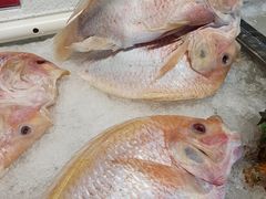 -蓝珊甄选海鲜自助·火锅大排档(近阿那亚店)