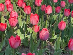 -长春公园(普阳街道)