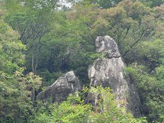 -府君山公园