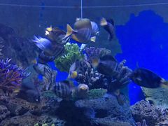 -常州海昌海洋探索馆