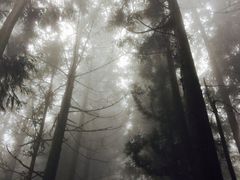 -井冈山风景名胜区-黄洋界