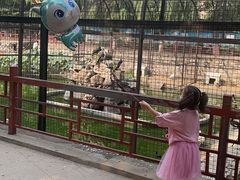 -保定市动物园