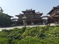 -西安青龙寺遗址景区