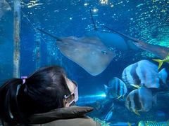 -太平洋海底世界