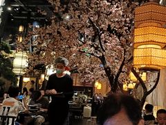 -绿茶餐厅(千岛湖银泰城店)