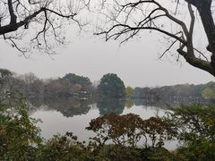 -西湖游船