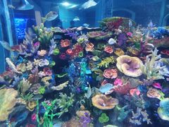 -成都浩海立方海洋公园