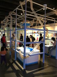 -北京科学中心儿童乐园