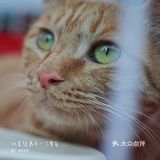 太可爱！连孙俪娘娘都为他们站台