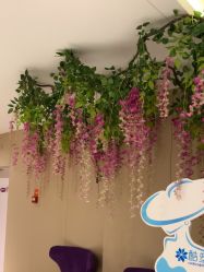 -厦门美莱整形美容医院