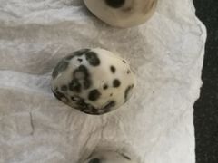 -物美超市(通州果园店)