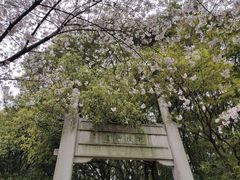 -苏州上方山国家森林公园