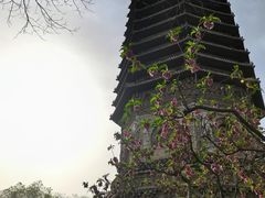 -玲珑塔公园