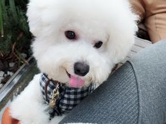 -云里小坐·小院里·团建·宴请·下午茶(三圣乡店)