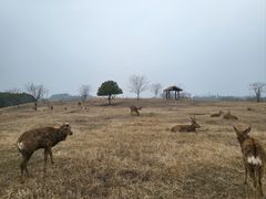 -良渚古城遗址公园