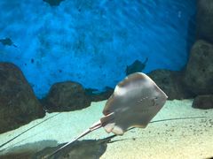 -福州罗源湾海洋世界旅游区