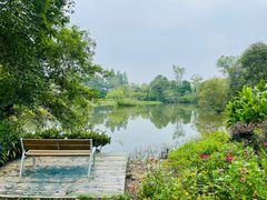 -西溪国家湿地公园