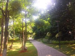-五缘湾湿地公园