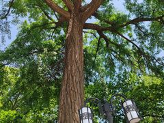 -天津盘山风景名胜区