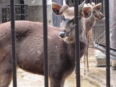 -昆明动物园