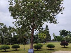 -东莞植物园