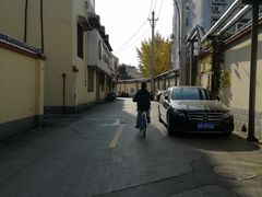 -原山国家森林公园