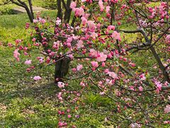 -苏州上方山国家森林公园