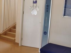 -芭比堂动物医院·CT·微创中心(新顺分院)