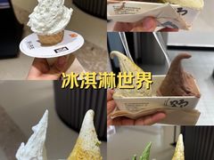 -野人先生现做冰淇淋(北京环宇荟店)