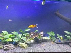 -沙沙哗啦海洋馆(华宇百花谷店)