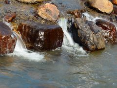 -北仑森林植物园