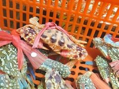 -巽寮印象美食部落餐厅·海鲜·地方特色菜(惠州体验店)