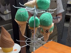 -野人先生Gelato(上海长宁龙之梦店)