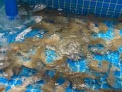 -良师门滨海人家·海鲜·家常菜(滨海城店)