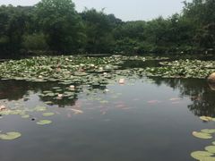 -白马涧龙池景区