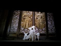 -中影新星影城(万科锦程店)