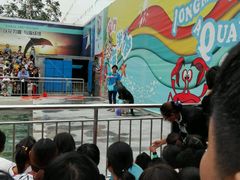 -洛阳龙门海洋馆